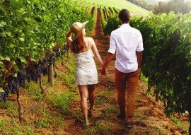 Romantický pobyt uprostred vinohradov photo